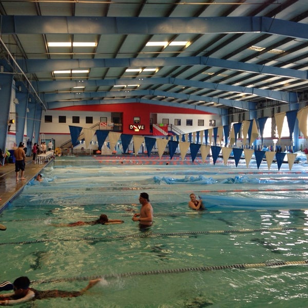 SwimAtlanta - Swimming Pool