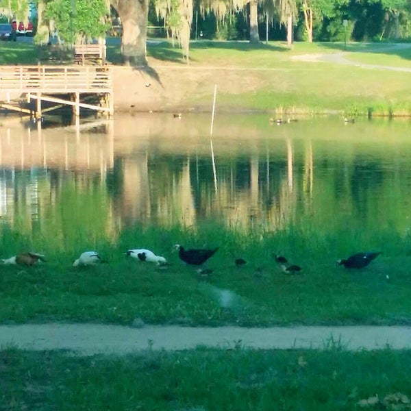 Photos at Lake Lillian Belleview Fl Park in Belleview