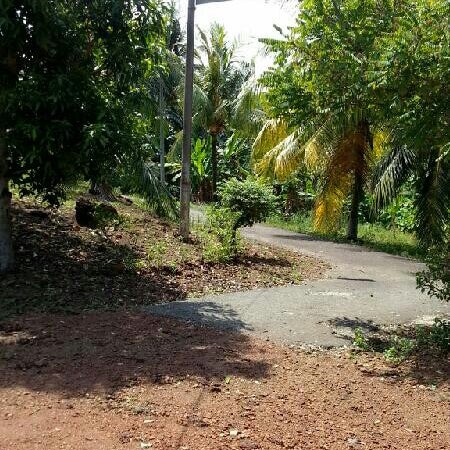 Kawasan Perindustrian Tangga Batu Industrial Estate