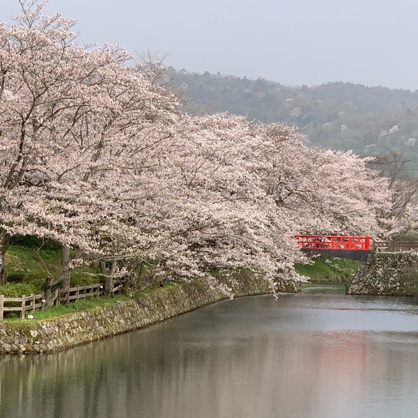 Photos At 鹿野城跡公園 鳥取市 鳥取県