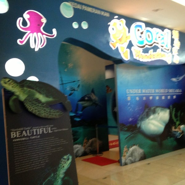Photos At Coral Wonderland Now Closed Exhibit