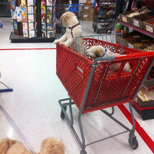 Petco Pet Supplies Store