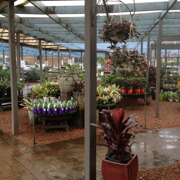 Flower Power Enfield Cafe Best Flower Site