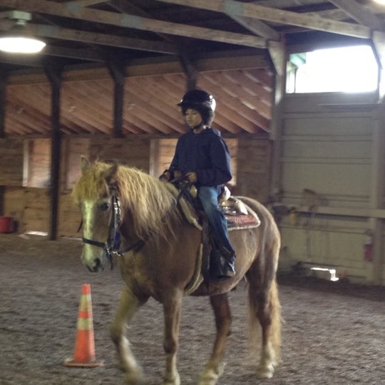 Masthope Stables Lackawaxen, PA