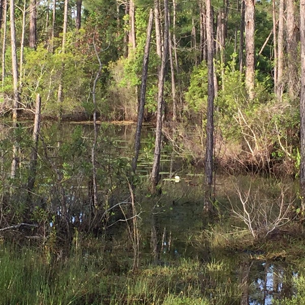Photos At Topsail Hill Preserve State Park Rv Resort 3 Tips