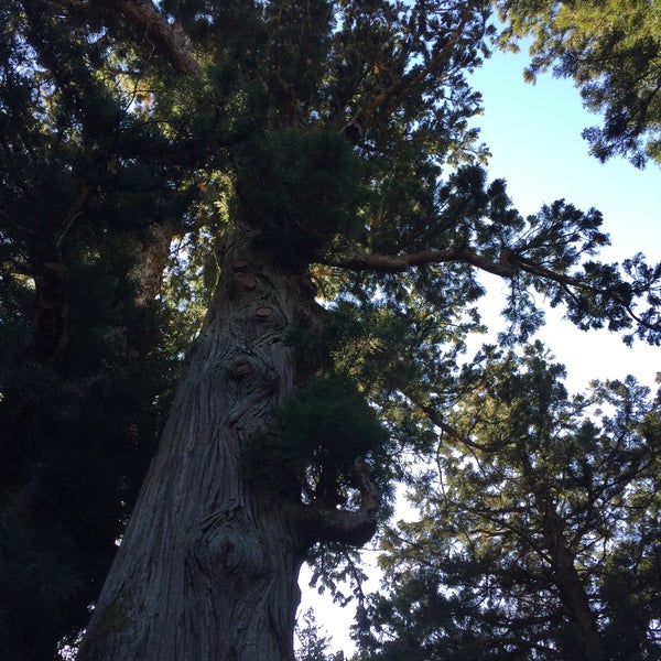 塩原八幡宮 那須塩原市 栃木県
