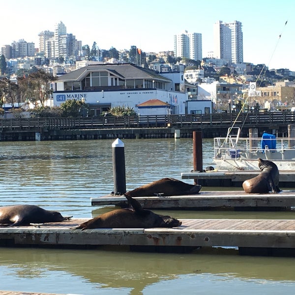 Photo taken at Pier 39 by Ronald G. on 1/26/2017