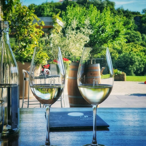 Photo taken at Kozlović Winery by Michal W. on 7/13/2020