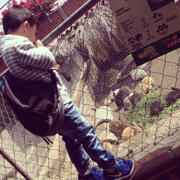 Photo taken at Zoo Parque Loro by Yasmin Mar Cast !! on 4/21/2016