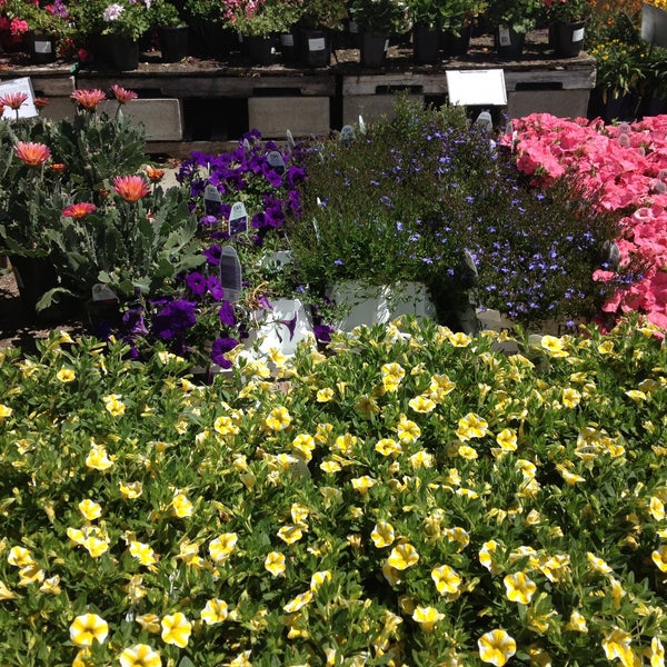 Yamagami's Nursery 6 tips