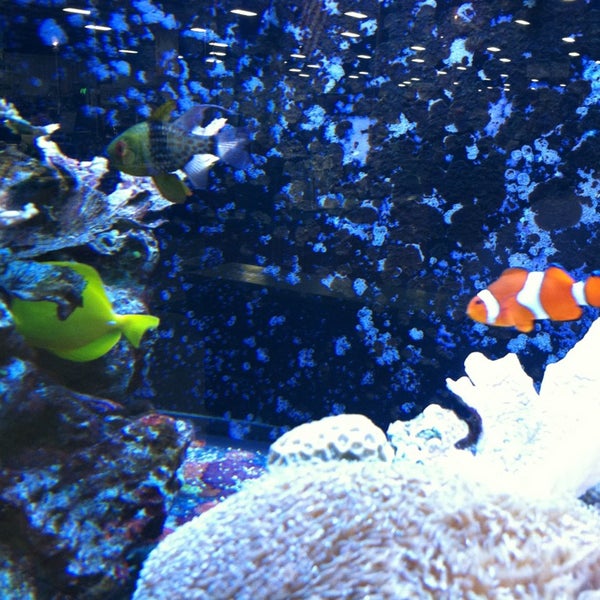 Photo taken at That Fish Place - That Pet Place by Jennifer S. on 2/5/2013