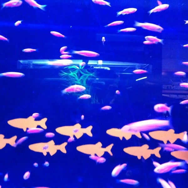 Photo taken at That Fish Place - That Pet Place by Jennifer S. on 3/1/2013