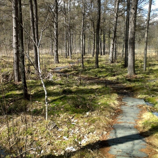 Quaking Bog Trail Map Quaking Bog - Trail In Minneapolis