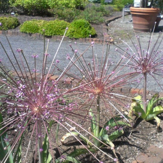 Tower Hill Botanic Garden Garden