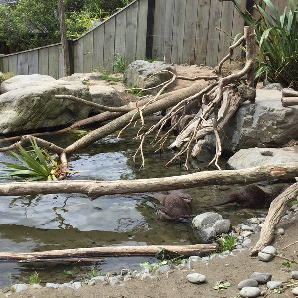 Foto tirada no(a) Wellington Zoo por Lily Aldrin Farhana em 11/24/2015