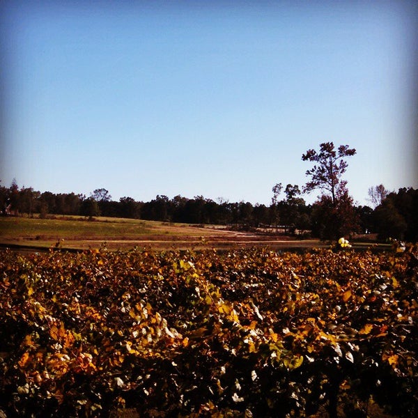 Foto scattata a Gregory Vineyards da Parker E. il 10/26/2014