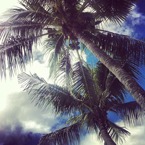 รูปภาพถ่ายที่ Pacific Islands Club Saipan โดย Дмитрий П. เมื่อ 1/18/2013
