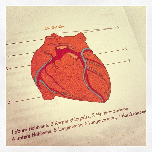 Photos At Junges Hotel Salzburg Eduard Heinrich Haus 4 Tips