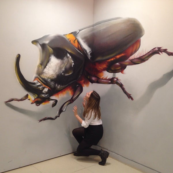 музей 3d картин воображариум в москве. самарский театр юного зрителя самарт самара зал. 3d воображариум вднх. 3д выставка в москве. 3д картины.