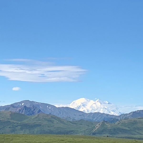 Hap Denali National Park Summer