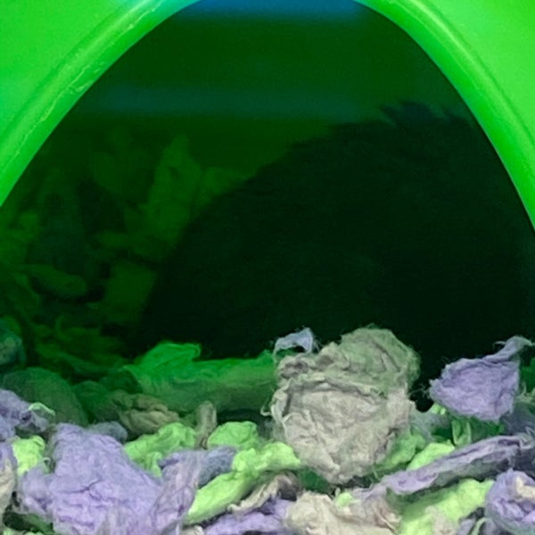 PetSmart Pet Supplies Store in Richmond Hill