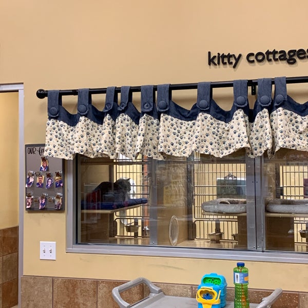 Petsmart cat best sale boarding