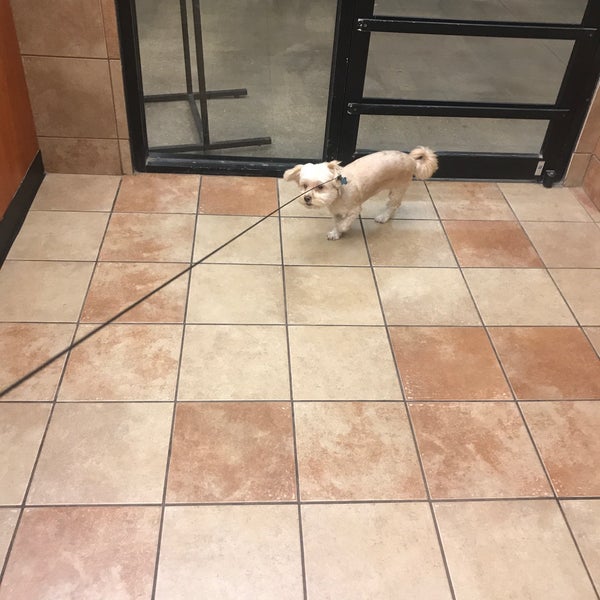 Photos at PetSmart 5500 Greenville Ave