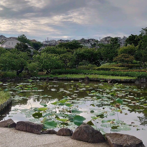 Photos At 馬場花木園 鶴見区 横浜市 神奈川県 Photos At 馬場花木園 鶴見区 横浜市 神奈川県