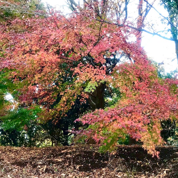 Photo taken at Keio University Shonan Fujisawa Campus by minoritt on 12/7/2022