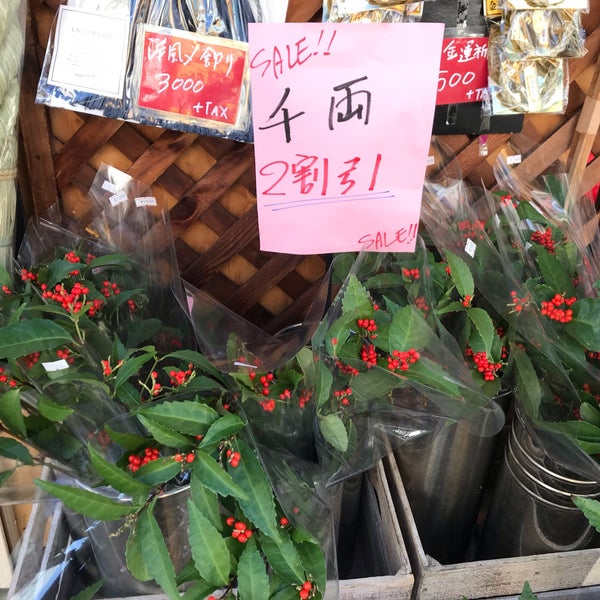 Photos A 花一逗子本店 逗子 逗子1 4 23