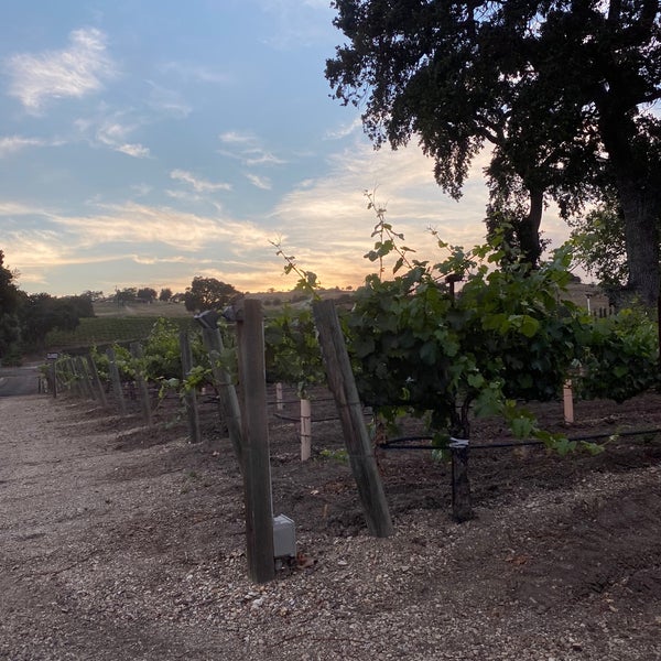 Blackjack Ranch Vineyard & Winery Winery