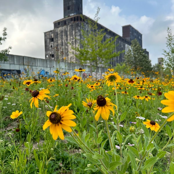 Red Hook Park Park in Brooklyn