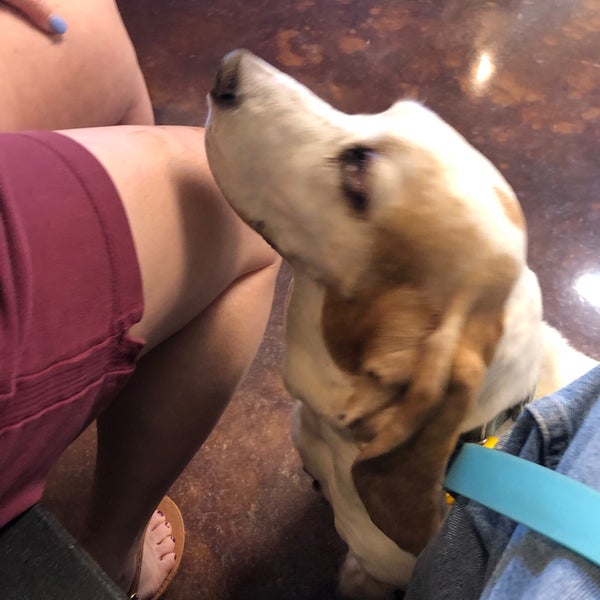 Timbercreek Small Animal Hospital - Canyon, TX Timbercreek Small Animal Hospital - Canyon, TX