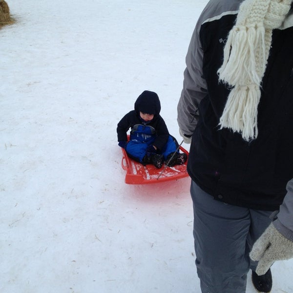 AlexanderCarr Playground‎ & Lodge Playground in Derry