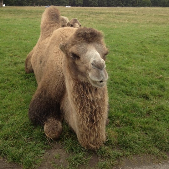 Photo taken at Knowsley Safari by Charlotte on 9/24/2012