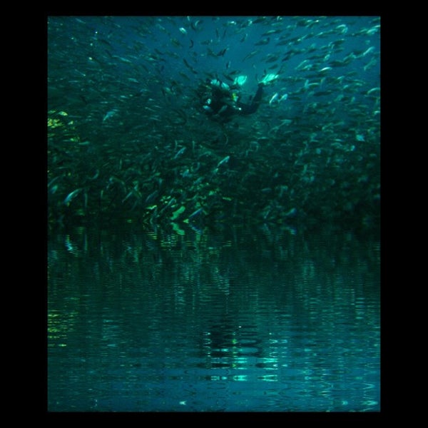 10/14/2012にGeorgiaがOceans Unlimited Scuba Divingで撮った写真