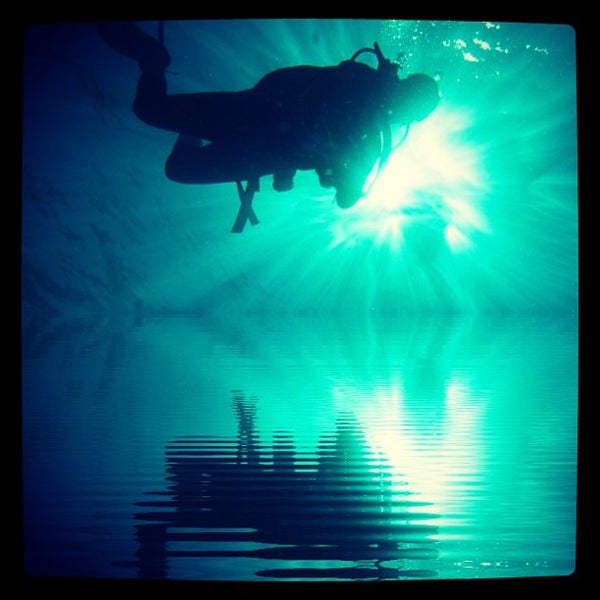 2/9/2013にGeorgiaがOceans Unlimited Scuba Divingで撮った写真