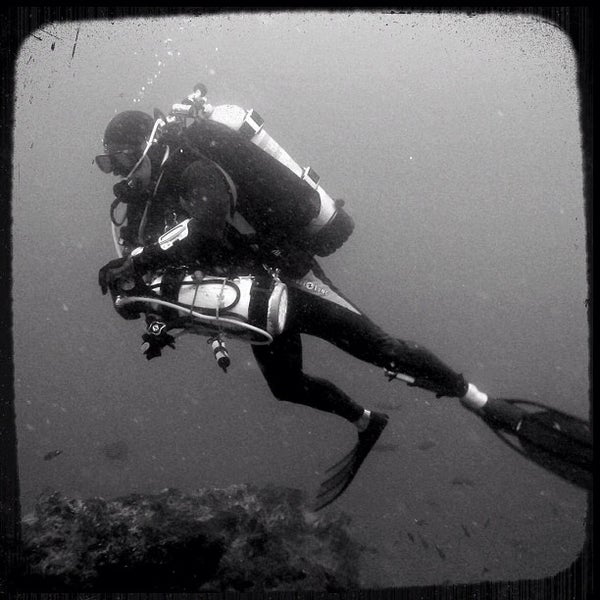 11/28/2012にGeorgiaがOceans Unlimited Scuba Divingで撮った写真