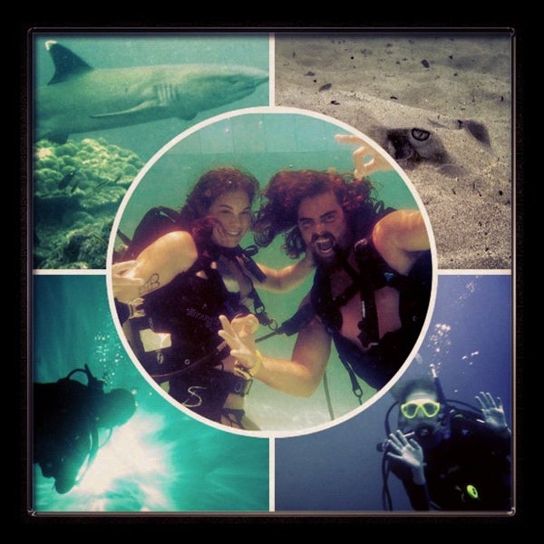 10/17/2012にGeorgiaがOceans Unlimited Scuba Divingで撮った写真