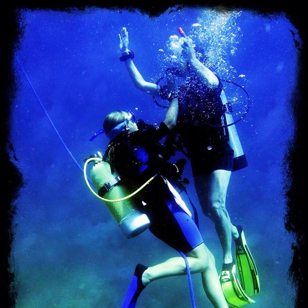 11/28/2012にGeorgiaがOceans Unlimited Scuba Divingで撮った写真