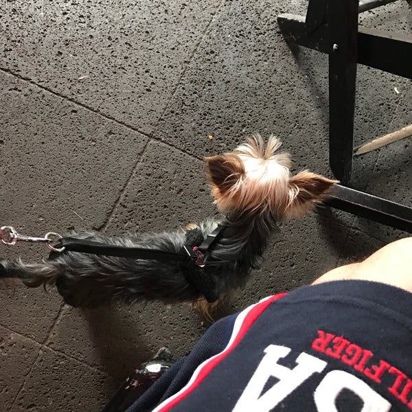 10/8/2016 tarihinde Carlosziyaretçi tarafından Café La Gloria'de çekilen fotoğraf