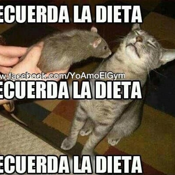 Tacos de Canasta Génesis León, Guanajuato