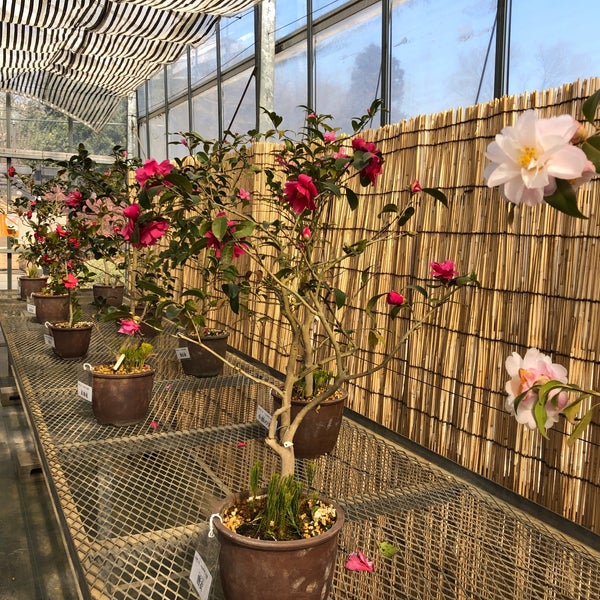 Photos At くらしの植物苑 佐倉市 佐倉市 千葉県