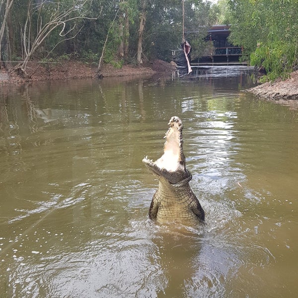 Photo taken at Hartley&#39;s Crocodile Adventures by Anna P. on 10/3/2018
