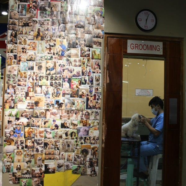 Photos At Uptown Animal Center Quezon City District 4 U P Town Center Katipunan Ave Diliman