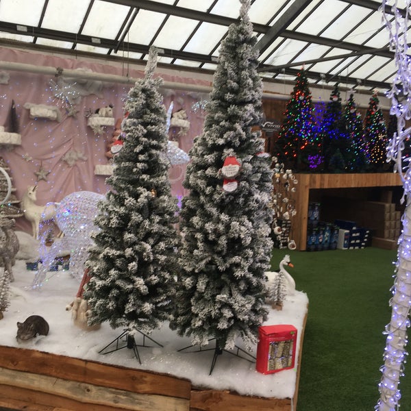 Hollybush Garden Centre Wolverhampton Fasci Garden