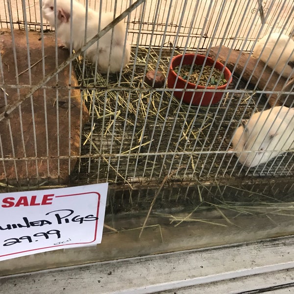 Photos at Kalihi Pet Center Pet Supplies Store in Honolulu