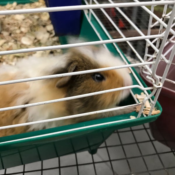 Petland Pet Supplies Store in Honolulu