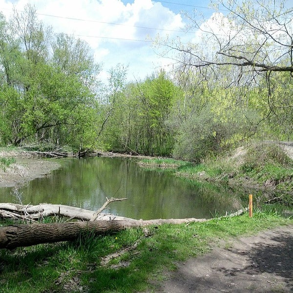 Bloomer Park Rochester 8 tips from 466 visitors