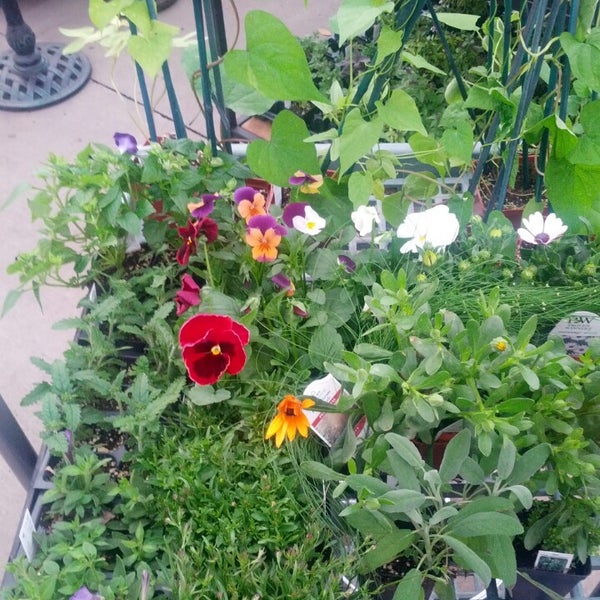 Salisbury Greenhouses Hardware Store in Sherwood Park